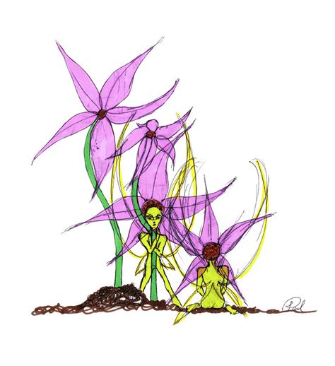 Flower Fairies Drawing By Paul Raviele Fine Art America