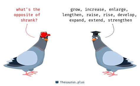 40 Shrank Antonyms. Full list of opposite words of shrank.