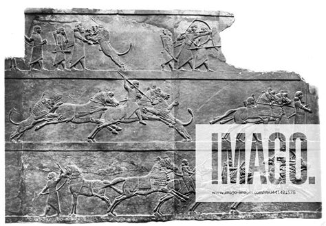 ASSYRIA HUNTING SCENE Sculptures In Bas Relief From King Ashurbanipal