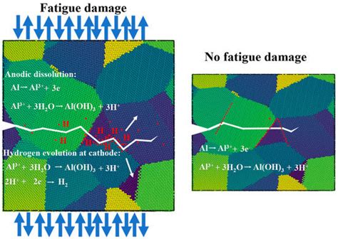 Metals Free Full Text The Effect Of Fatigue Damage On The Corrosion Fatigue Crack Growth