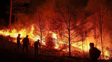 Sequía E Incendios En Ecuador Alcanzan A 40 000 Hectáreas De Cultivos