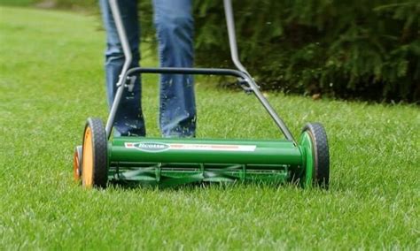 The Best Reel Mowers Haute Life Hub