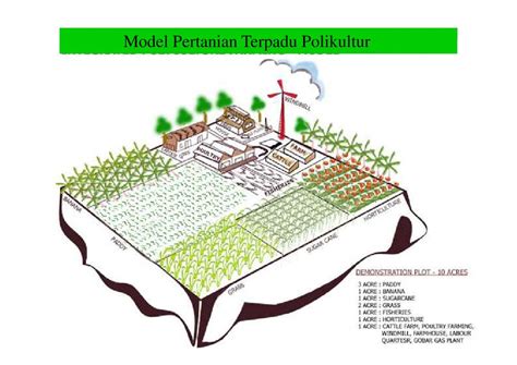 Detail Contoh Pertanian Terpadu Koleksi Nomer 6