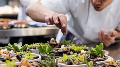 MSL Training Supported... - MSL Training Supported Learning 