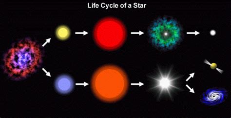 1.3 Stellar Evolution Chart Diagram | Quizlet