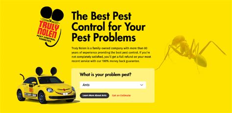 Orkin Vs Truly Nolen Pest Control Companies Compared