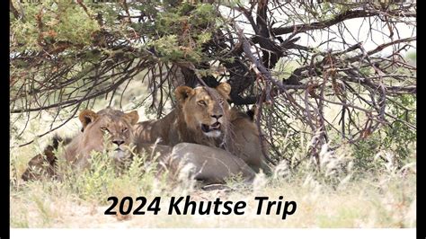 2024 Central Kalahari Game Reserve CKGR Khutse Short Trip YouTube