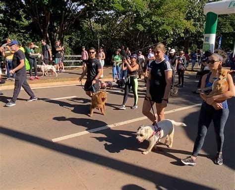 1ª edição da Cãominhada movimentou Parque do Poderes no final de semana