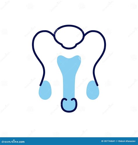 Male Reproductive System Vector Line Icons Stock Vector Illustration Of Body Bladder 287744641