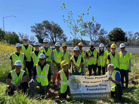 Problems with Tree Planting Campaigns – Benicia Tree Foundation