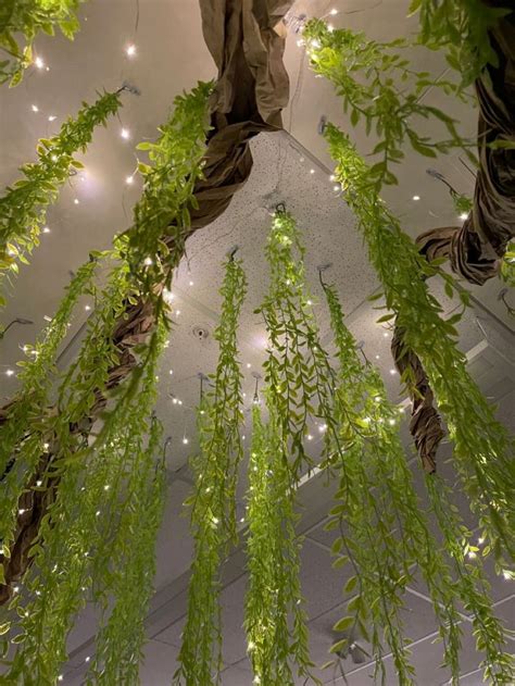 Some Green Plants Hanging From The Ceiling In A Room With Lights And