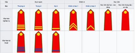 Vietnam: Ranks and grades in police and army and identification signs