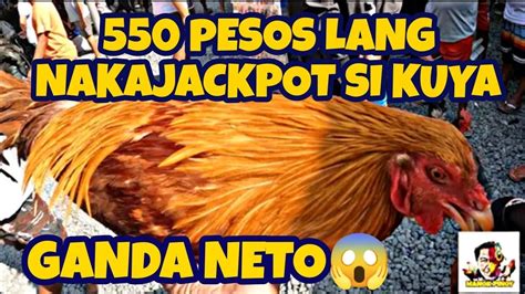 Bentahan Ng Mga Murang Manok Pet Market Update Lang May Maiuuwi Ka