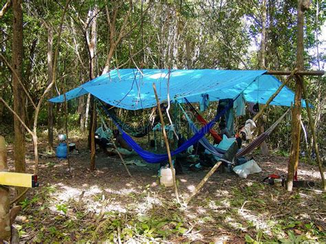 Jungle Campsite Under Rain Forest Canopy in the Amazon Stock Photo ...