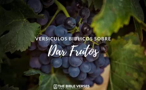 Vers Culos De La Biblia Sobre Dar Frutos Texto B Blico