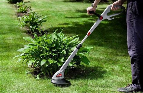 Что лучше: газонокосилка или триммер, в чем разница