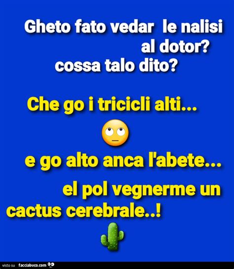 Tutti I Meme In Dialetto Veneto Facciabuco