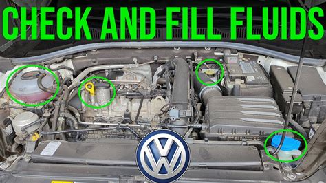 How To Check And Fill Fluids COMPLETE GUIDE Volkswagen Jetta 2019