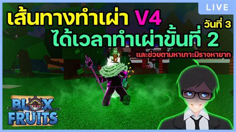 เส้นทางทำเผ่า V4 ได้เวลาทำเผ่าv4ขั้นที่ 2 Blox Fruits วันที่3 [โดเนทขึ้นจอ] Youtube