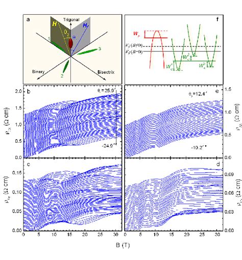 A The Fermi Surface Of Bismuth The Magnetic Field Was Applied Along