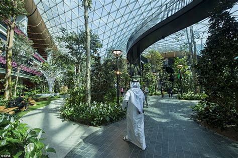 Qatar Unveils Mini Forest Inside New Terminal Ahead Of World Cup Ghananet