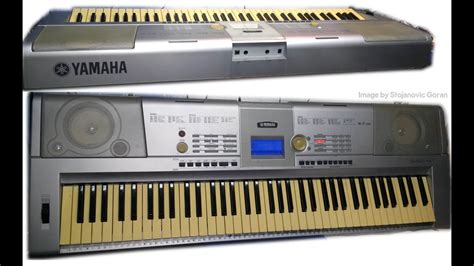 Teclado Yamaha Dgx 205 Caracteristicas Shop Buy Ids Deutschlandde