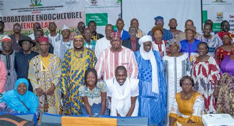 Renforcer Le Patrimoine Culturel Du Burkina Faso LInitiative FOLC1