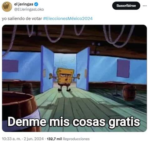 Los Mejores Memes Que Dejaron Las Elecciones 2024