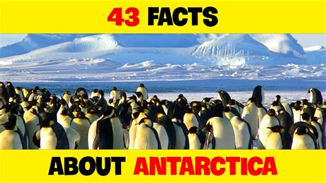 43 Mind Boggling Facts About Antarctica That Will Freeze Your Brain