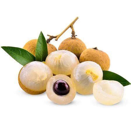 Pin Em Longan Fruit Em Mudas Frutiferas Frut Feras Em Vaso