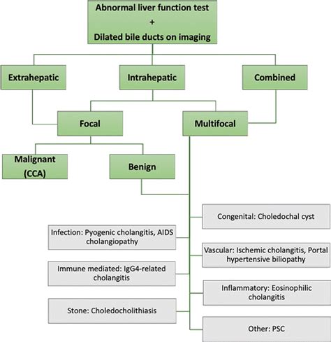 Imaging Features Of Primary Sclerosing Cholangitis From Diagnosis To Liver Transplant Follow Up