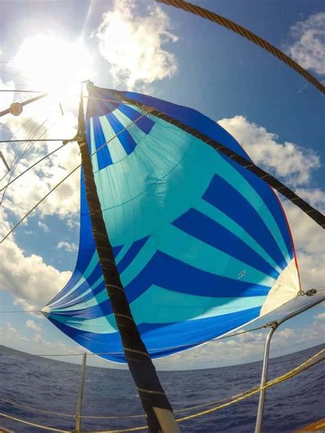 10 Different Types of Sails (Plus Interesting Facts)