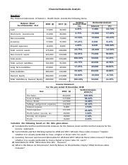 VERTICAL ANALYSIS Solutions Docx Financial Statements Analysis