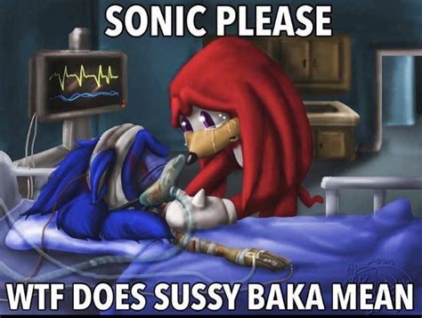 Pin By Stressed Depressed And Coffee On Funny Stuff Sonic Funny