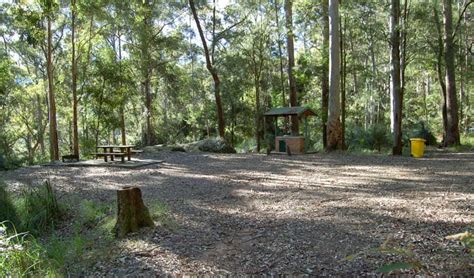 Gap Creek Campground Nsw National Parks