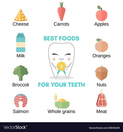 Best Food For Healthy Teeth Royalty Free Vector Image