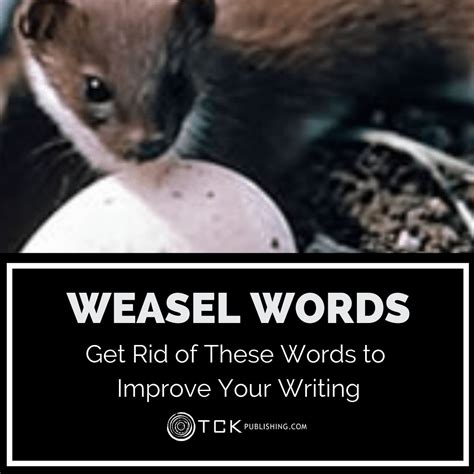 Weasel Words Get Rid Of These Words To Improve Your Writing Tck