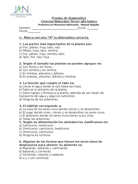 PDF Prueba De Diagnostico Viencias DOKUMEN TIPS