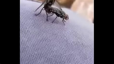 The Best Sex You Will See Today Xxx Mobile Porno Videos Movies IPornTV Net