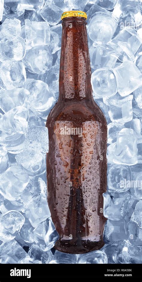 cold bottle of beer frozen in ice Stock Photo - Alamy