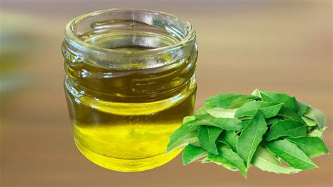 How To Make Curry Leaves Oil Benefits Of Curry Leaves Oil Curry