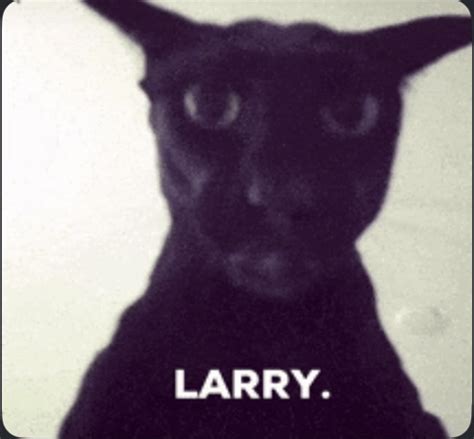 Larry Meme - Larry - Discover & Share GIFs