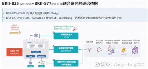 为什么说835877双联或三联管线将是腾盛最重磅的乙肝功能性治愈管线？ 腾盛博药 B02137 一、全球有近3亿乙肝患者，每年新增