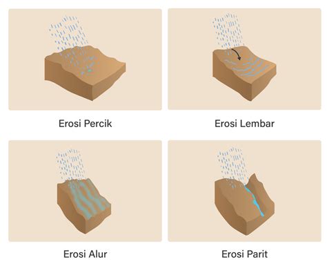 Perhatikan Jenis Erosi Berikut Erosi Pari