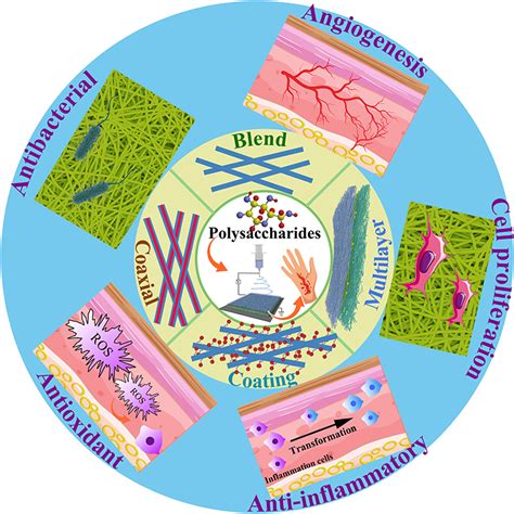 Polysaccharide Electrospun Nanofibers Ijn