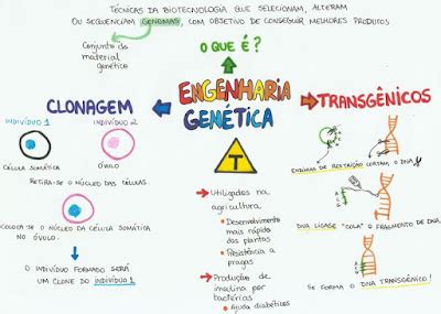 Amantes Da Biologia Prof Alan Calvet Siga Alan Calvet E Aprenda