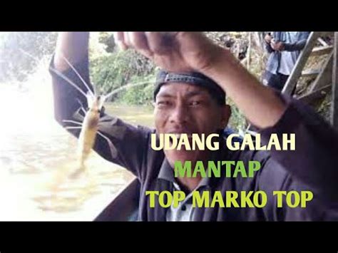 Kalah Strek Sama Om Yang Di Belakang YouTube