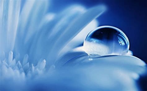 30 Water Drop Wallpapers Backgrounds Images Design Trends