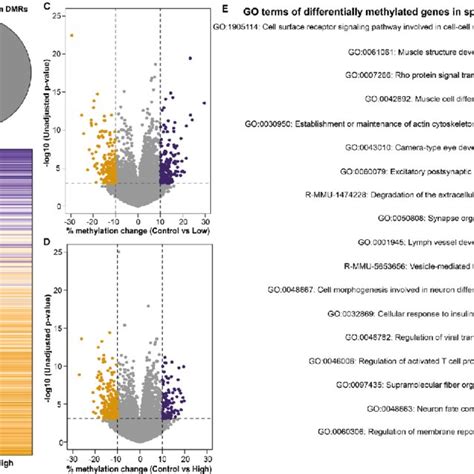 Regional Methylation Pattern In Sperm Associated With Low And High Dehp