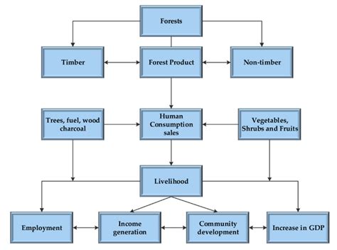 Agriculture Free Full Text Socio Economic Impacts Of Livelihood From Fuelwood And Timber